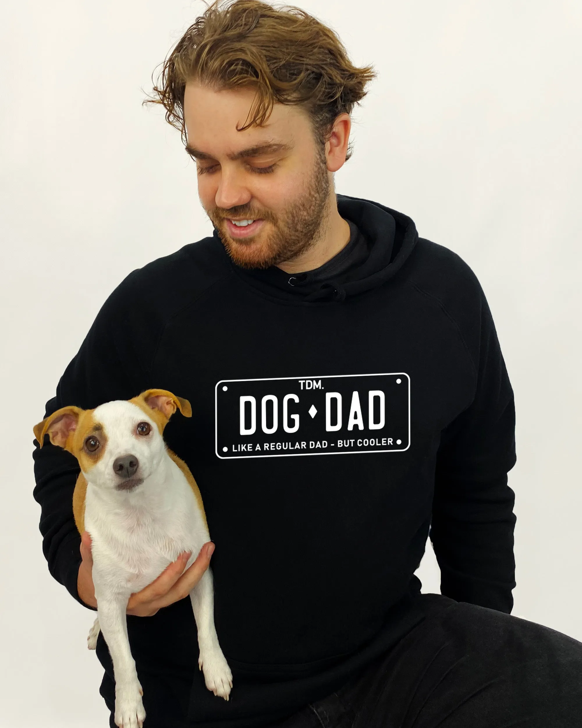 Like A Regular Dad But Cooler Hoodie