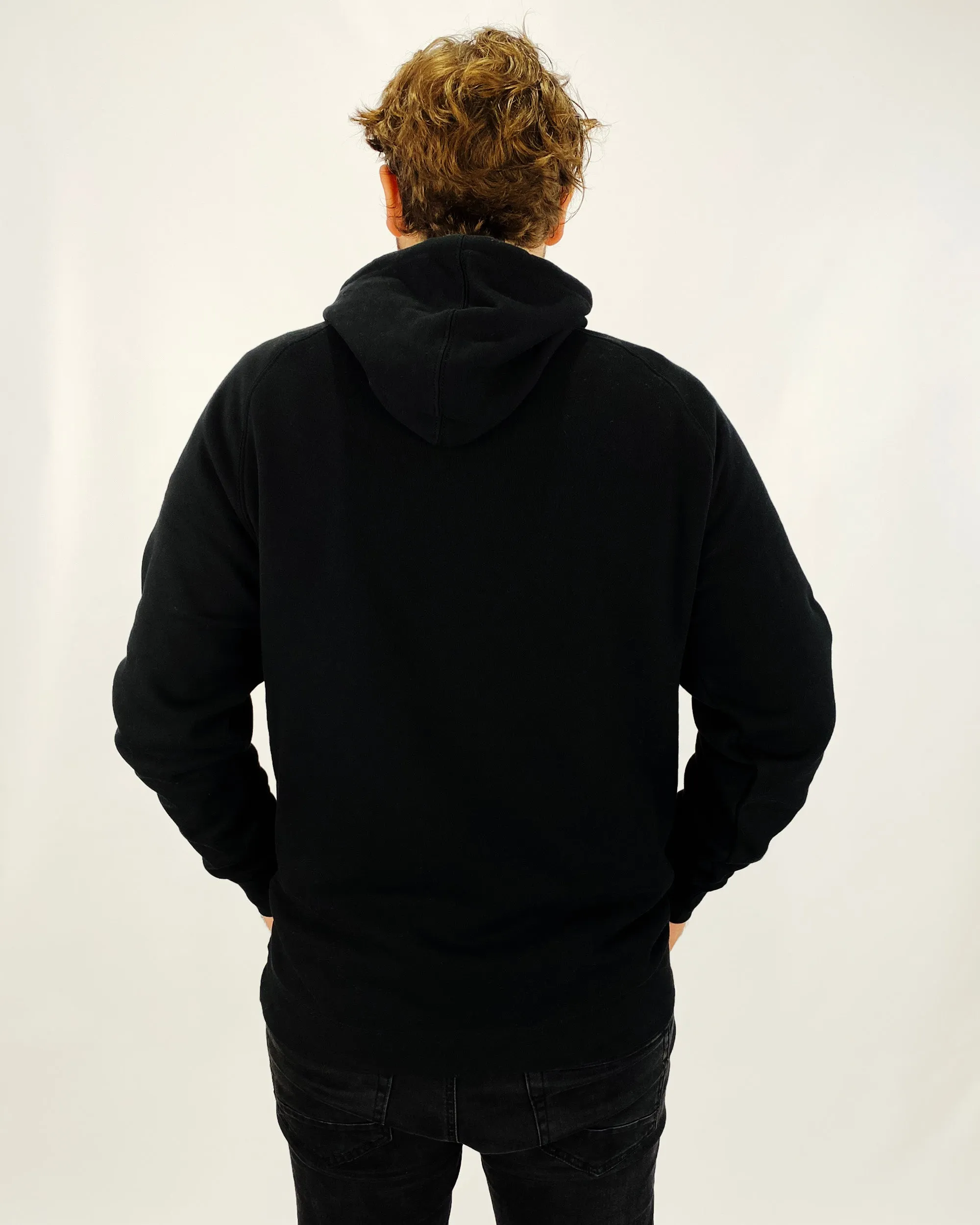 Like A Regular Dad But Cooler Hoodie